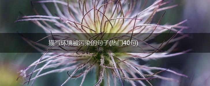 描写环境被污染的句子(热门40句),第1张