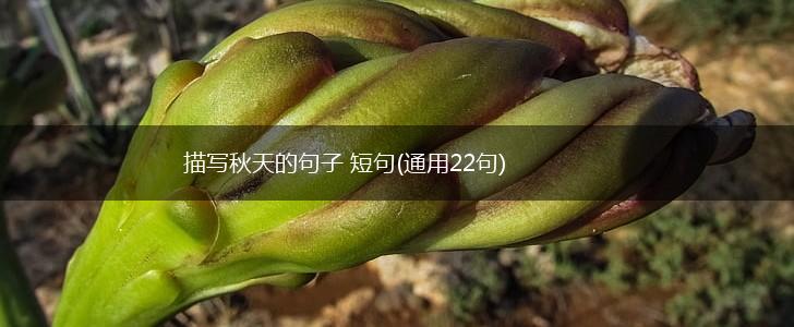 描写秋天的句子 短句(通用22句),第1张