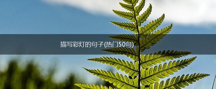 描写彩灯的句子(热门50句),第1张