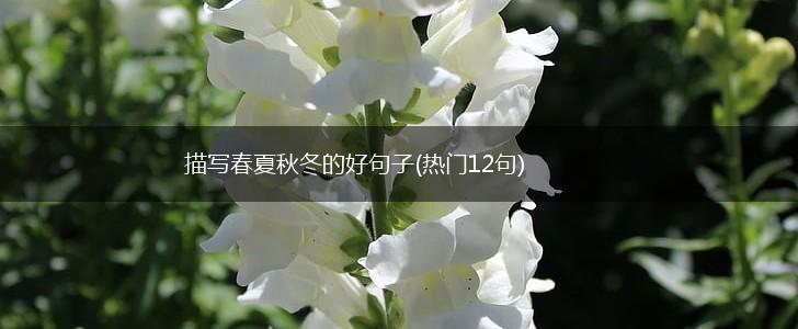 描写春夏秋冬的好句子(热门12句),第1张