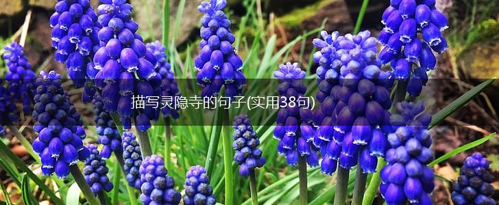描写灵隐寺的句子(实用38句),第1张