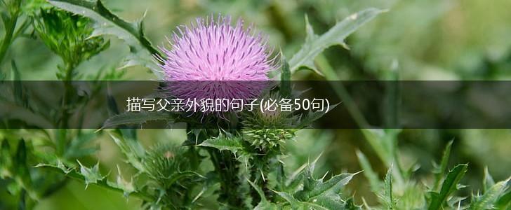 描写父亲外貌的句子(必备50句),第1张