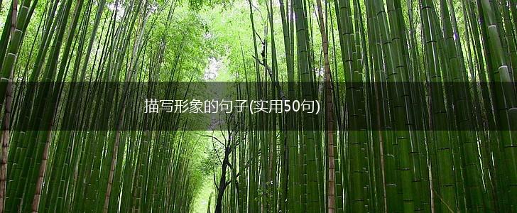 描写形象的句子(实用50句),第1张