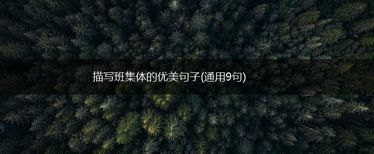 描写班集体的优美句子(通用9句),第1张