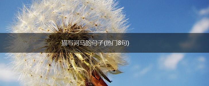 描写河马的句子(热门8句),第1张