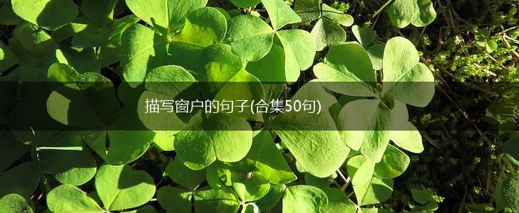 描写窗户的句子(合集50句),第1张