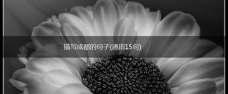 描写成都的句子(通用15句),第1张