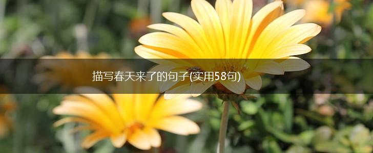 描写春天来了的句子(实用58句),第1张