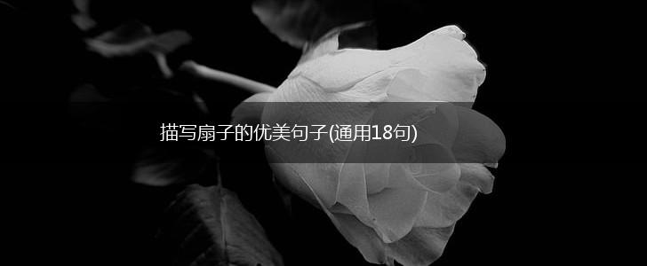 描写扇子的优美句子(通用18句),第1张