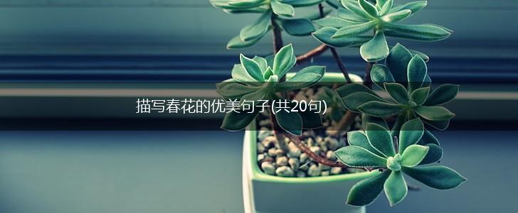 描写春花的优美句子(共20句),第1张