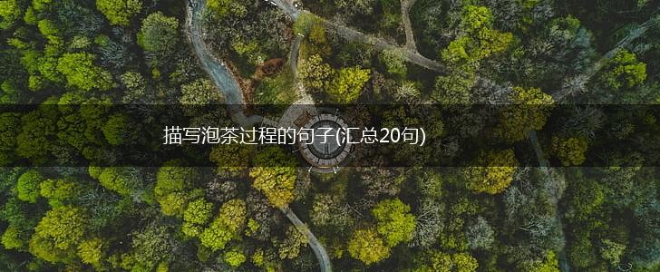描写泡茶过程的句子(汇总20句),第1张