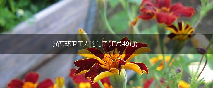 描写环卫工人的句子(汇总49句),第1张