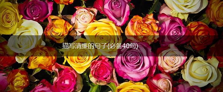 描写清廉的句子(必备40句),第1张