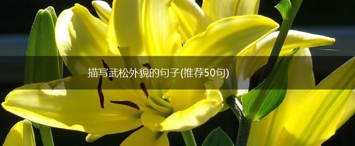 描写武松外貌的句子(推荐50句),第1张