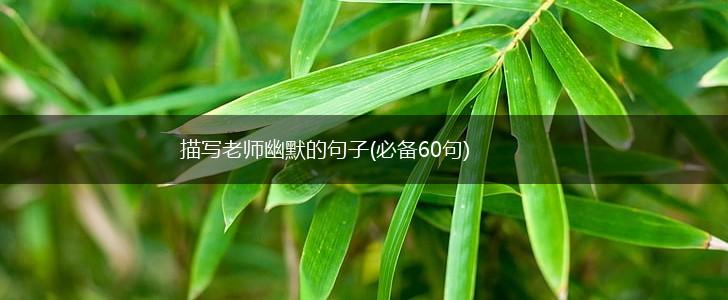 描写老师幽默的句子(必备60句),第1张