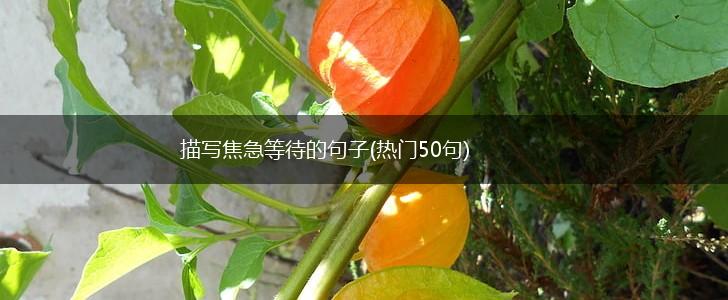 描写焦急等待的句子(热门50句),第1张