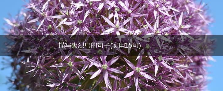 描写火烈鸟的句子(实用15句),第1张