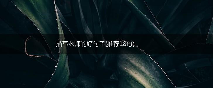 描写老师的好句子(推荐18句),第1张