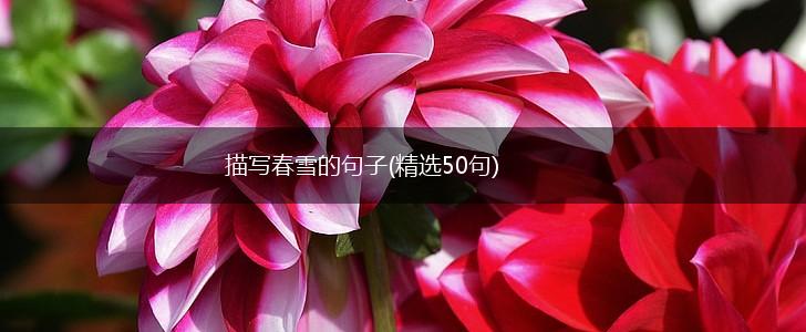 描写春雪的句子(精选50句),第1张