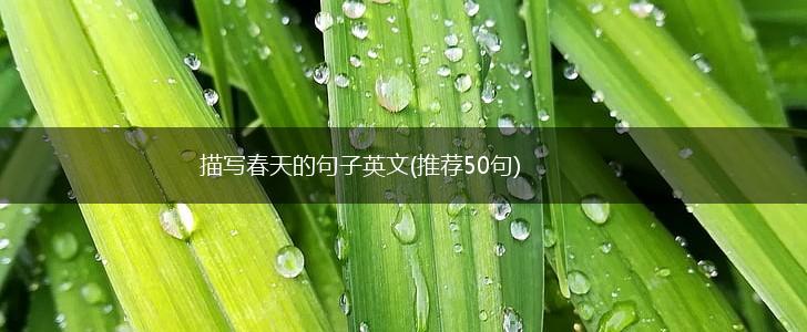 描写春天的句子英文(推荐50句),第1张