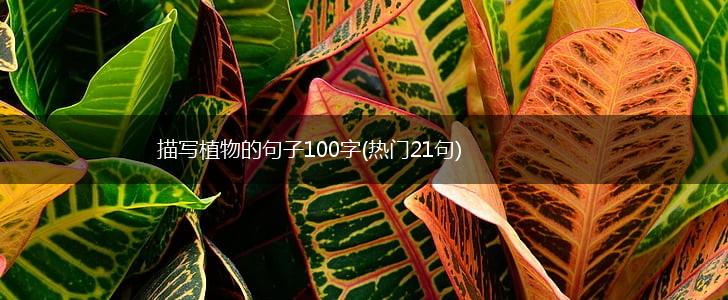 描写植物的句子100字(热门21句),第1张