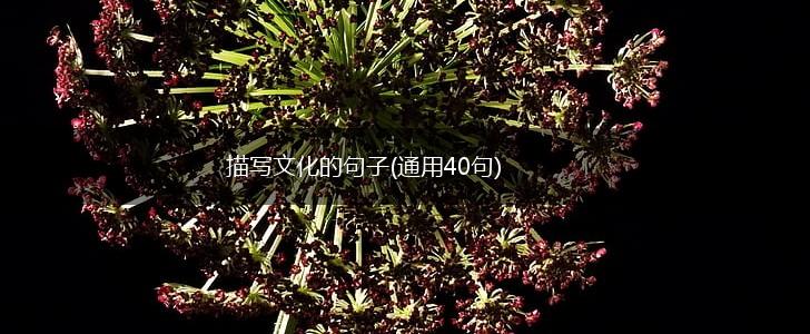 描写文化的句子(通用40句),第1张