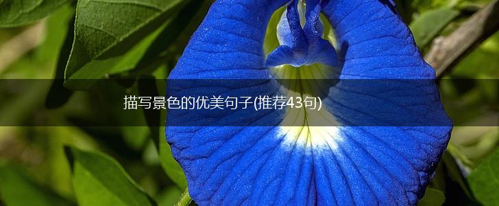 描写景色的优美句子(推荐43句),第1张