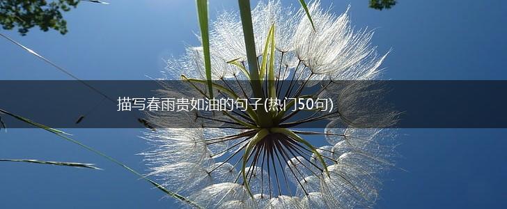 描写春雨贵如油的句子(热门50句),第1张