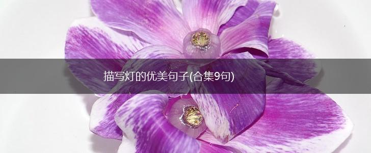 描写灯的优美句子(合集9句),第1张