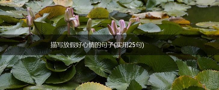 描写放假好心情的句子(实用25句),第1张