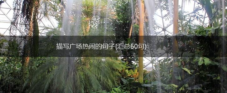描写广场热闹的句子(汇总60句),第1张
