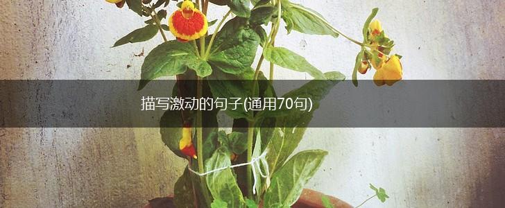 描写激动的句子(通用70句),第1张