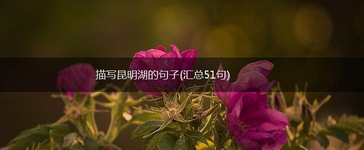 描写昆明湖的句子(汇总51句),第1张