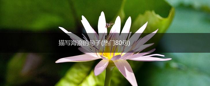 描写海浪的句子(热门80句),第1张