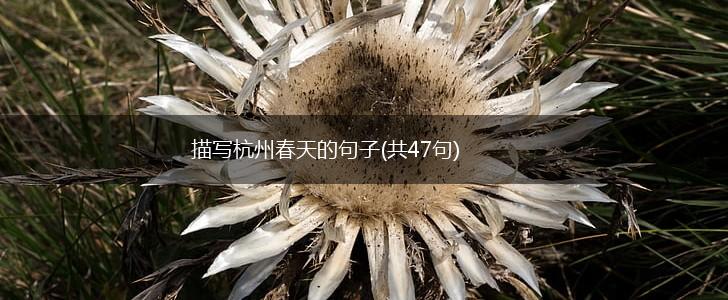 描写杭州春天的句子(共47句),第1张