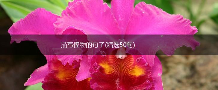 描写怪物的句子(精选50句),第1张