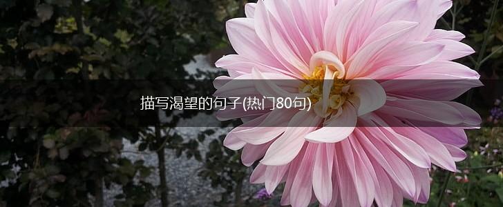 描写渴望的句子(热门80句),第1张