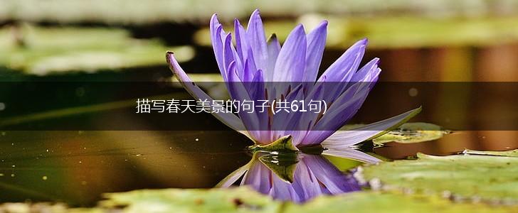 描写春天美景的句子(共61句),第1张
