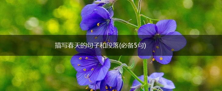 描写春天的句子和段落(必备5句),第1张