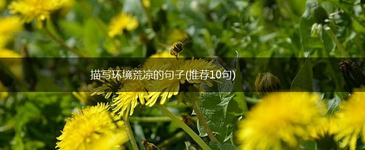 描写环境荒凉的句子(推荐10句),第1张