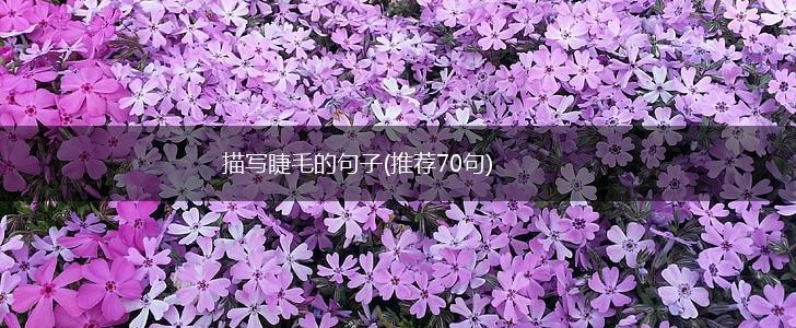 描写睫毛的句子(推荐70句),第1张