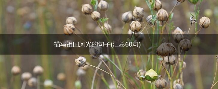 描写祖国风光的句子(汇总60句),第1张