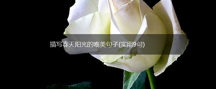 描写春天阳光的唯美句子(实用9句),第1张