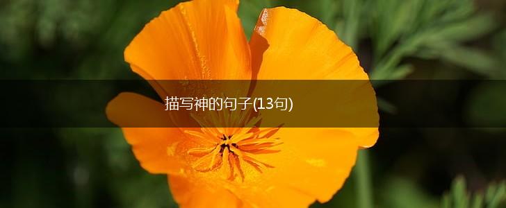 描写神的句子(13句),第1张