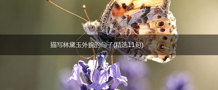 描写林黛玉外貌的句子(精选11句),第1张