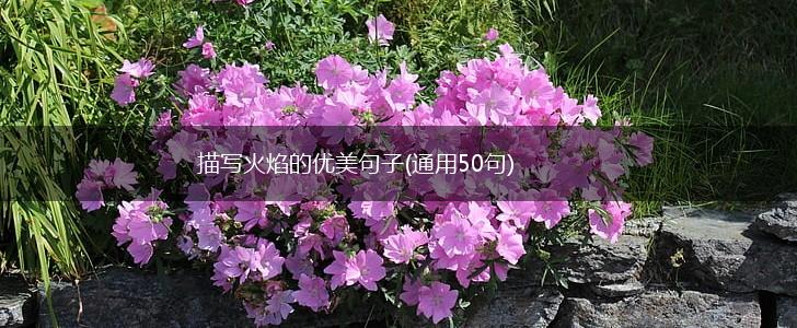 描写火焰的优美句子(通用50句),第1张