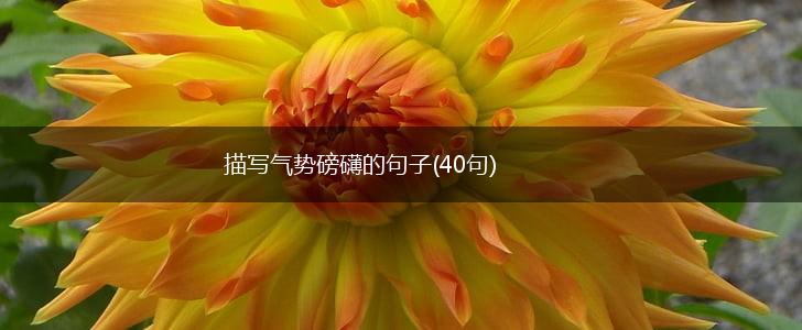 描写气势磅礴的句子(40句),第1张