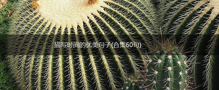 描写时间的优美句子(合集60句),第1张