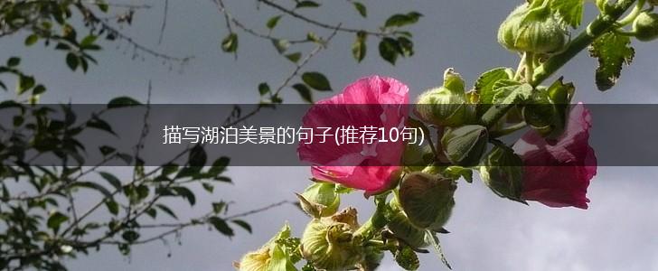 描写湖泊美景的句子(推荐10句),第1张