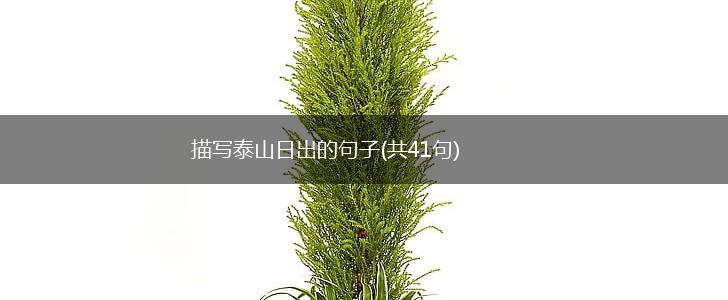 描写泰山日出的句子(共41句),第1张